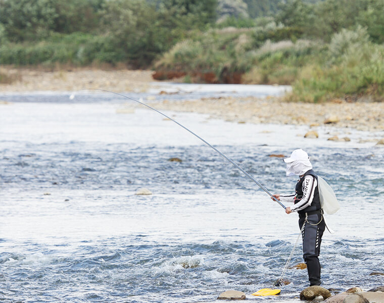丹生川の鮎釣り