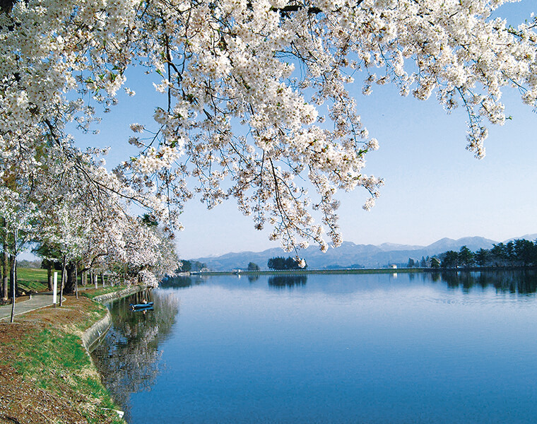 花笠踊りを生んだ白鳥の湖　徳良湖の四季の移ろい