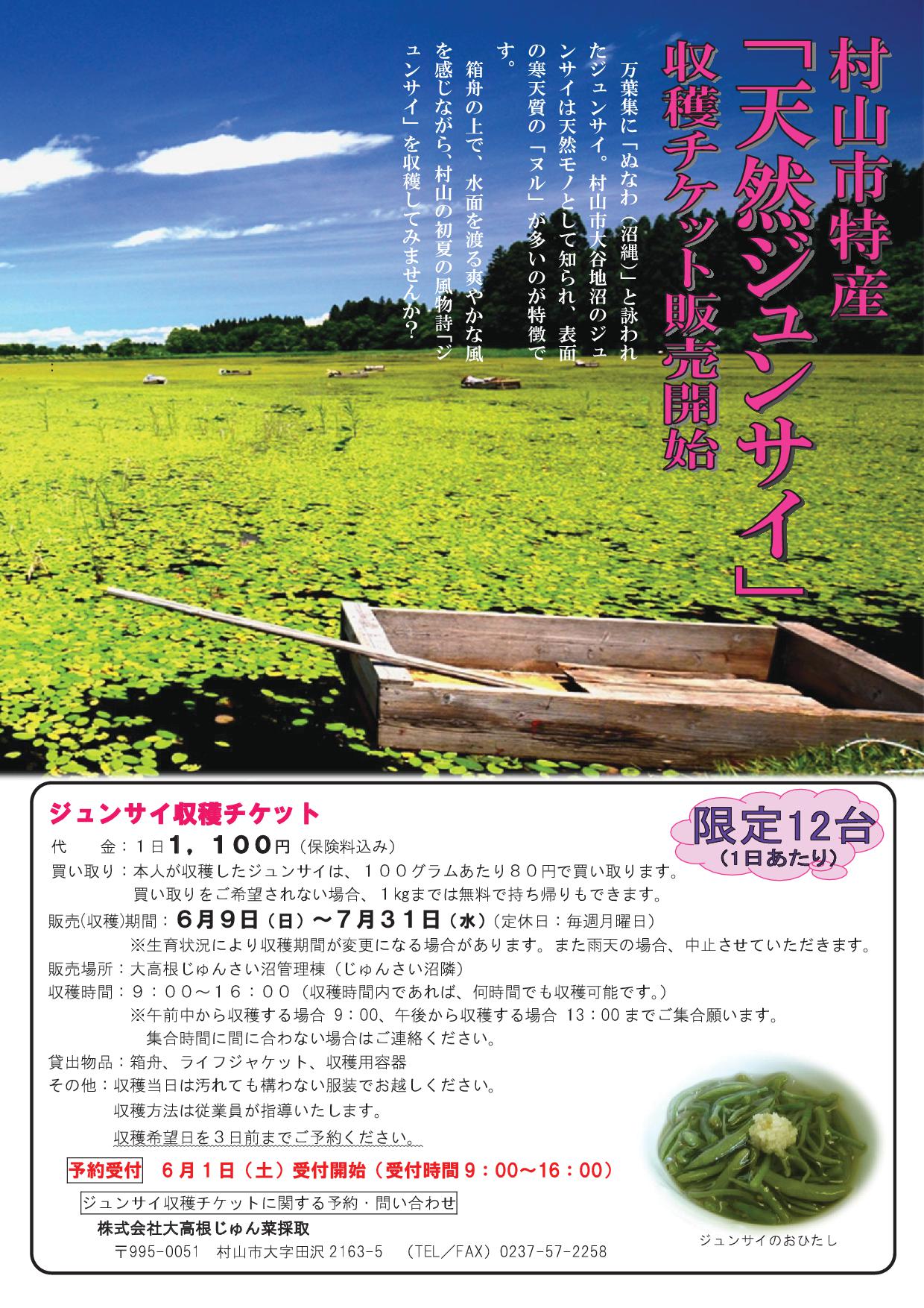 村山市特産 天然ジュンサイ 収穫体験 ６月９日 日 ７月31日 水 まで 要予約 仙台となり村