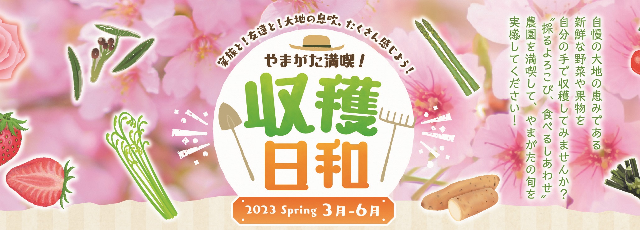 仙台となり村