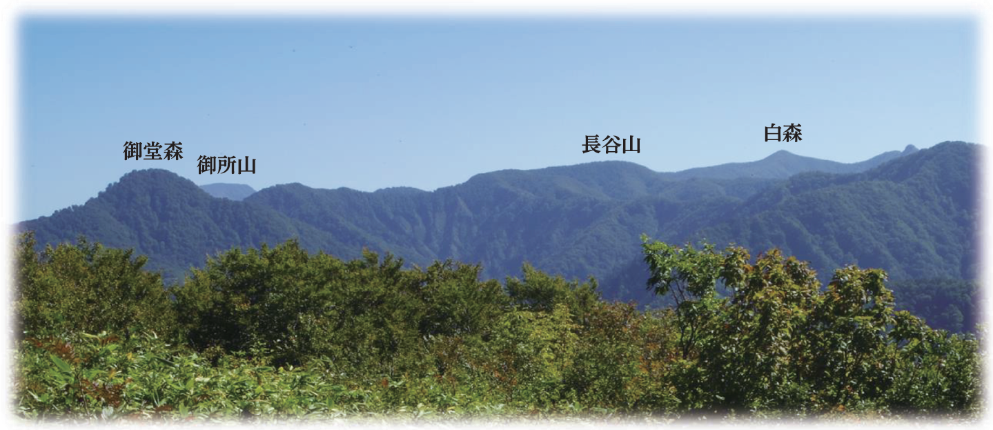 仙台となり村