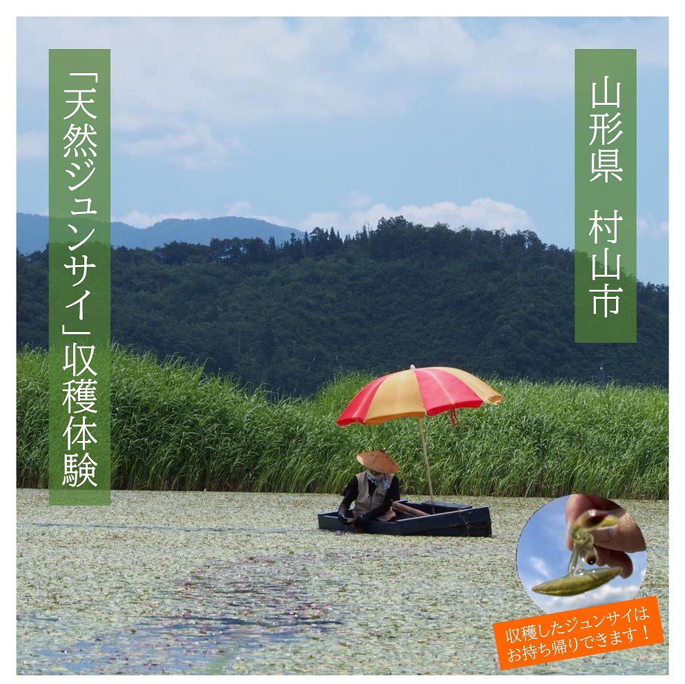 仙台となり村