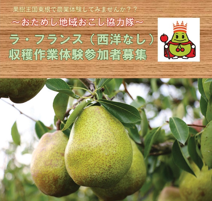 仙台となり村